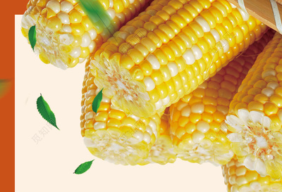 現榨鮮玉米汁 自然健康的黃金之源