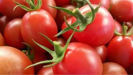 銷售模式單一成農產品上行大忌