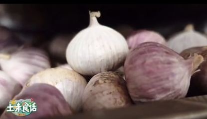 從大蒜到黑蒜 金鄉致富的金蒜盤