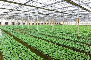 江蘇省農業農村廳及13市農業農村局調研云廚一站全產業鏈發展