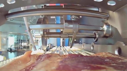 實拍外國食品工廠流水線 高效與美味并存，網友直呼“看餓了”