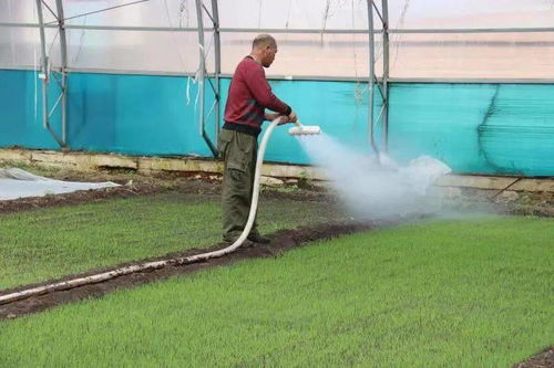 興安盟嶺南香 以責任匯聚誠信力量，守護農產品品質之源