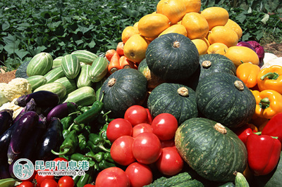 元謀新篇 以特色產業為翼，打造綠色經濟強縣