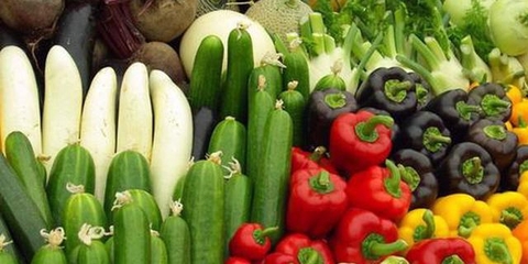 安康230家龍頭企業全面復工，保障鮮活農產品穩定生產與供應